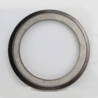 ASME B16.20 stainless steel spiral wound gasket with outer ring